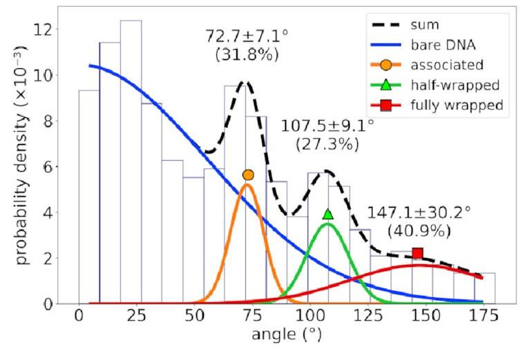 A histogram
of bend angles,
with four peaks at
close to 0 degrees,
72.7 degrees,
107.5 degrees,
and 147.1 degrees