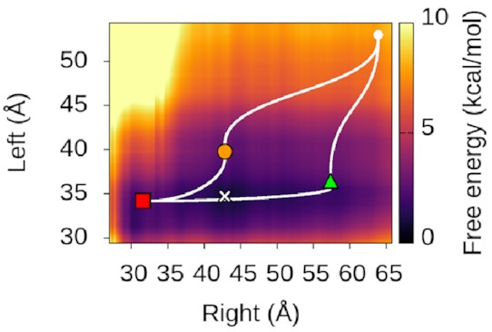 2D free energy landscape
showing that the three states
correspond to valleys and
plateaux