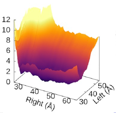 3D free energy landscape
contrasting the steepness associated with the left arm
with the relative flatness associated with the right
arm