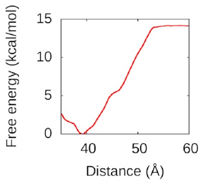 A free-energy well with a depth of around 14
angstroms