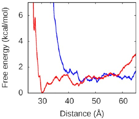A graph showing
two lines,
both showing
relatively flat potentials;
the blue line sharply increases
for values below 40 angstroms,
while the red line remains mostly flat
for all values above 30
angstroms